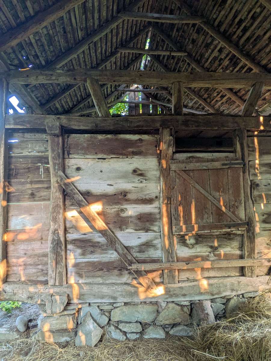 PXL_20250725_165729543