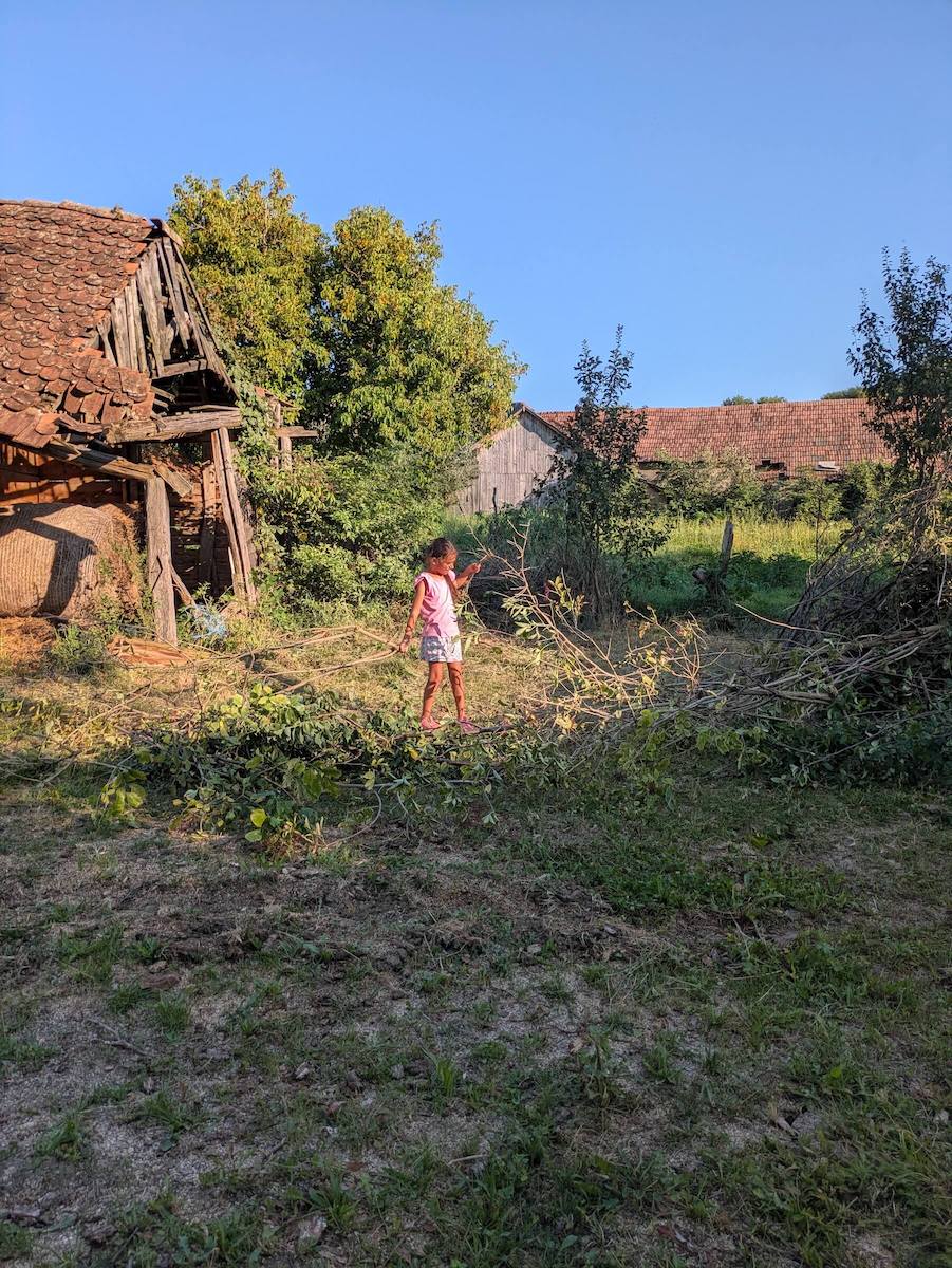 PXL_20250814_154205789